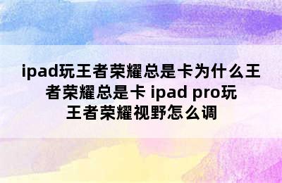 ipad玩王者荣耀总是卡为什么王者荣耀总是卡 ipad pro玩王者荣耀视野怎么调